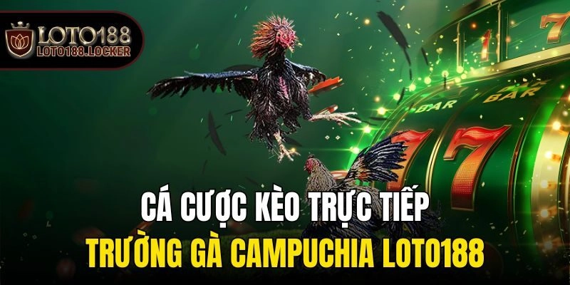 Cá Cược Kèo Trực Tiếp Trường Gà Campuchia Loto188
