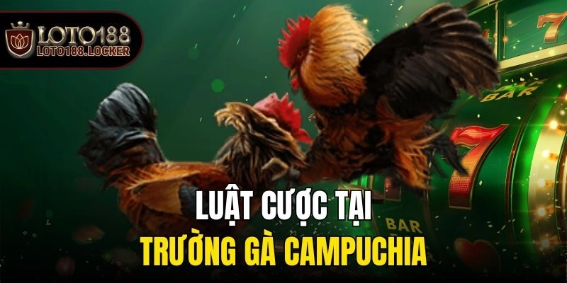 Luật cược đá gà cơ bản