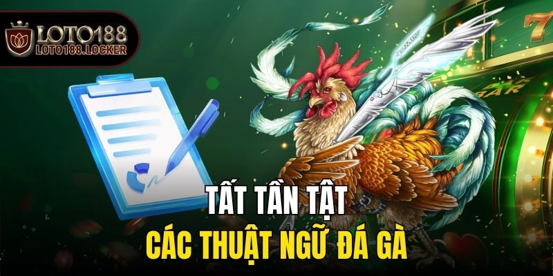 Tất tần tật các thuật ngữ đá gà